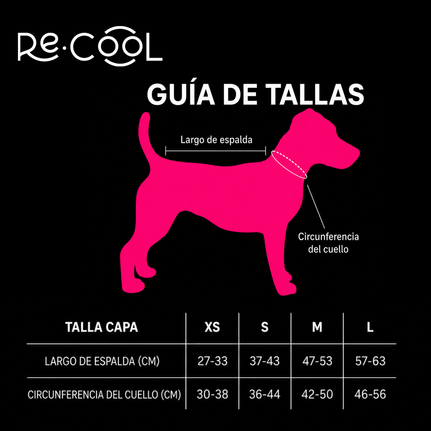 BRILLANDO PERROS