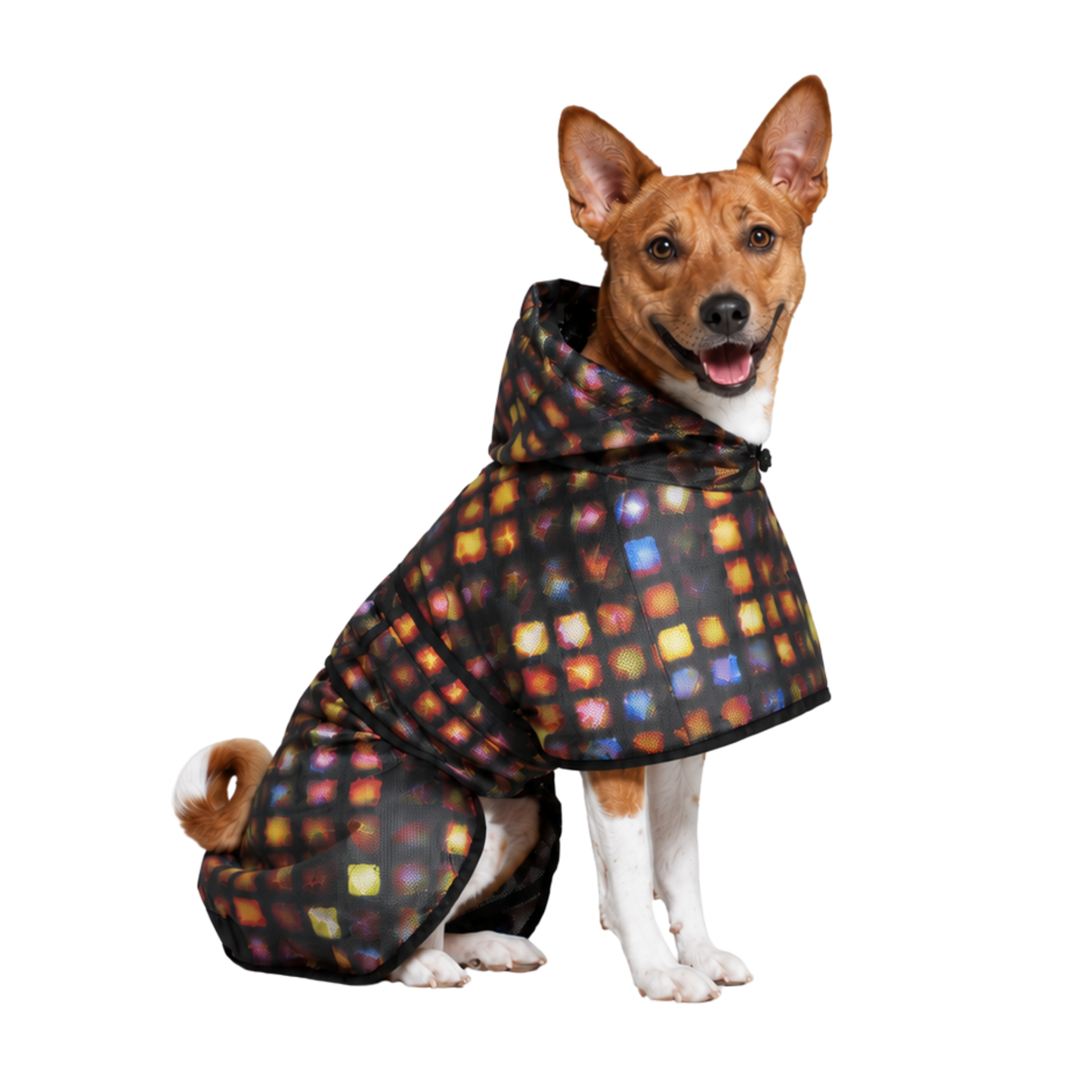BRILLANDO PERROS